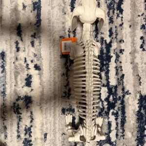 5" Dachshund Skeleton Halloween Decorative Prop - Hyde and EEK! Boutique
